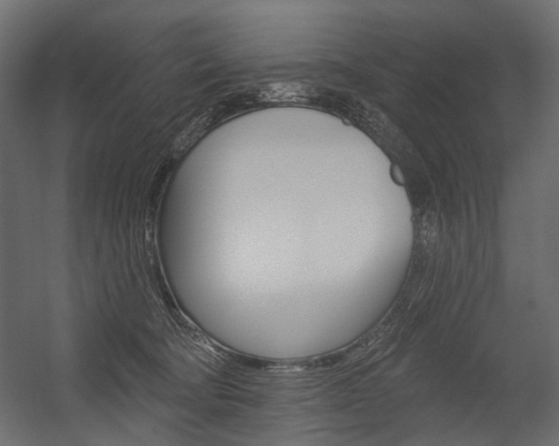 X0000054460322200507291028