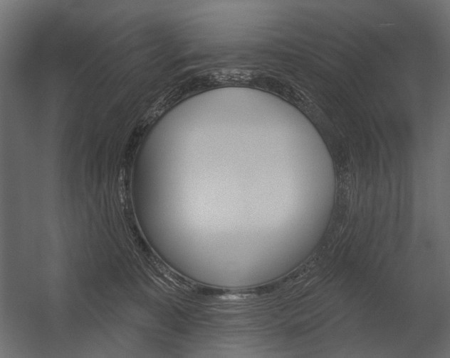 X0000054460323200507291028