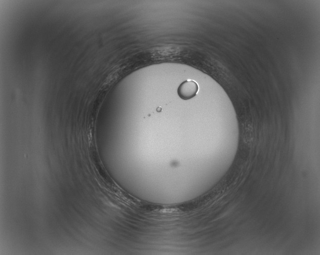 X0000054460324200507291028