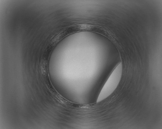 X0000054460325200507291028