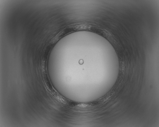 X0000054460326200507291028