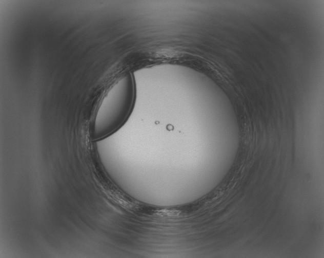 X0000054460328200507291028