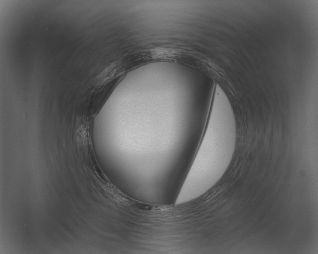 X0000054460329200507291028