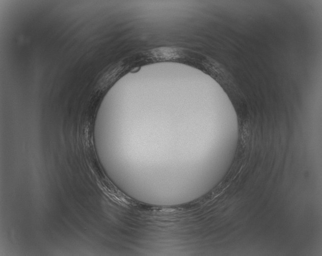 X0000054460330200507291028