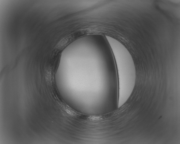 X0000054460333200507291028