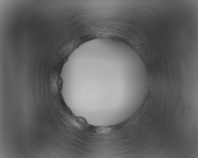 X0000054460334200507291028