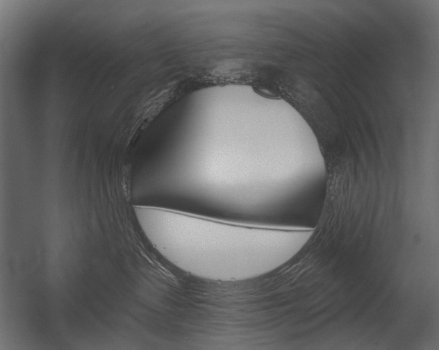 X0000054460335200507291028