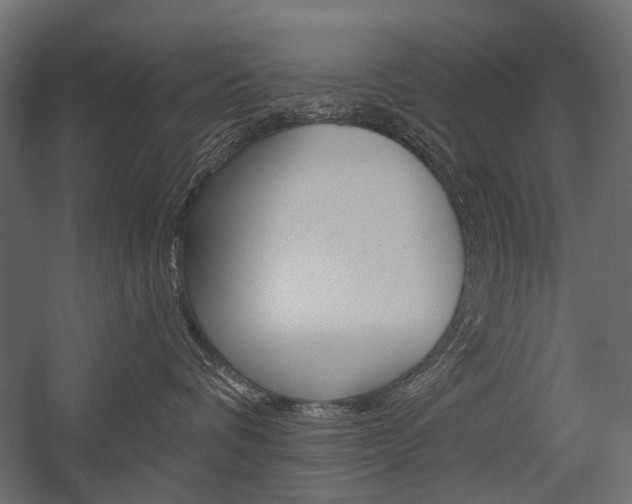X0000054460336200507291028