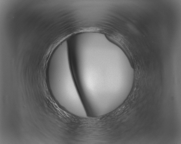 X0000054460337200507291027