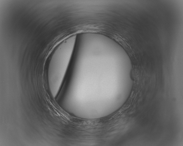 X0000054460338200507291027