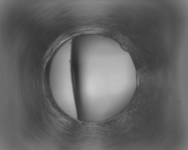 X0000054460339200507291027