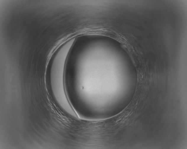 X0000054460340200507291027