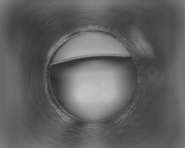 X0000054460341200507291027