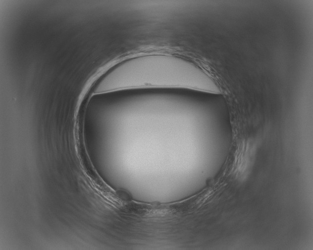 X0000054460342200507291027