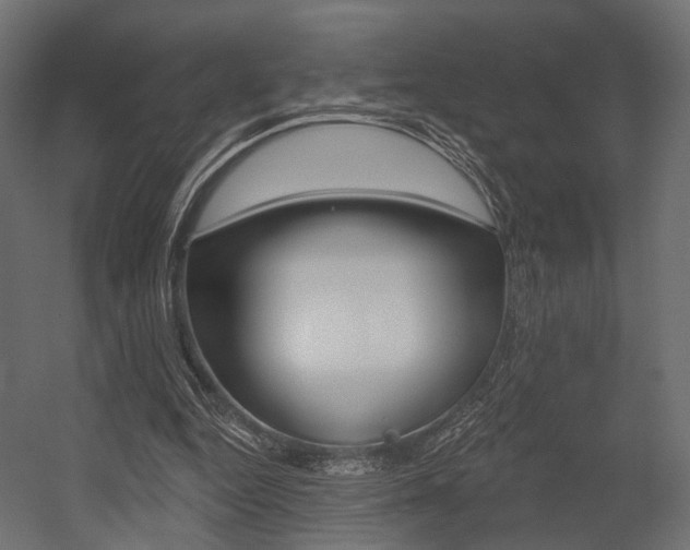 X0000054460344200507291027