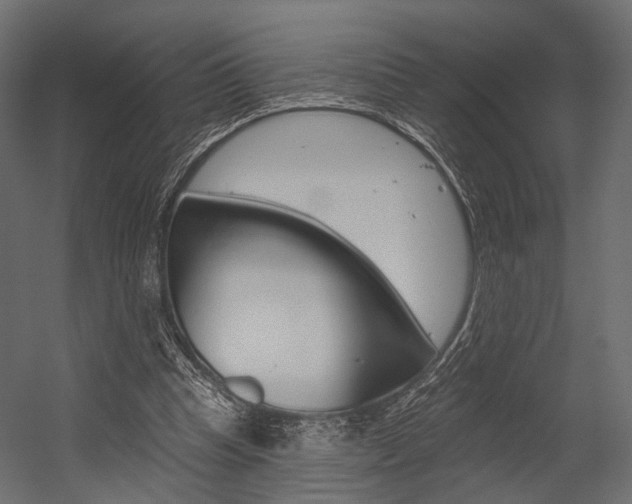 X0000054460345200507291027