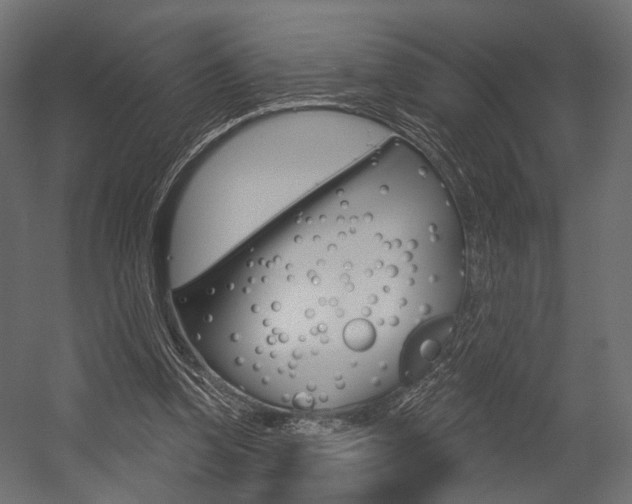 X0000054460346200507291027
