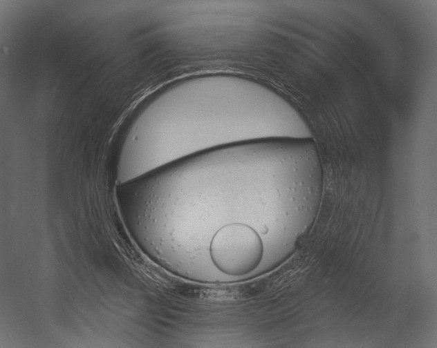 X0000054460347200507291027