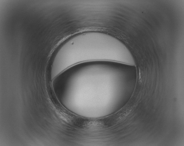 X0000054460348200507291027