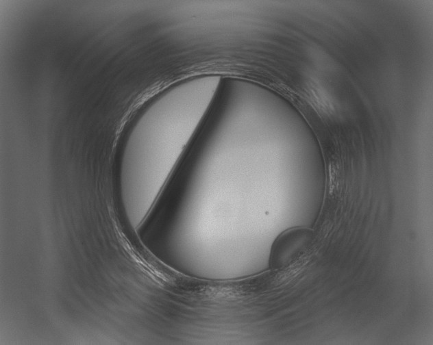X0000054460349200507291027