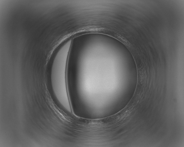 X0000054460350200507291027
