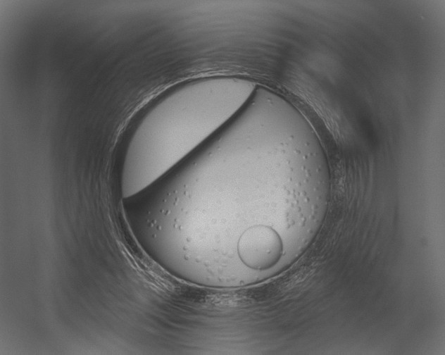 X0000054460351200507291027