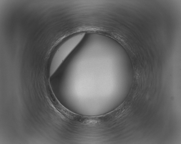 X0000054460352200507291027