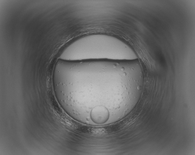 X0000054460355200507291027