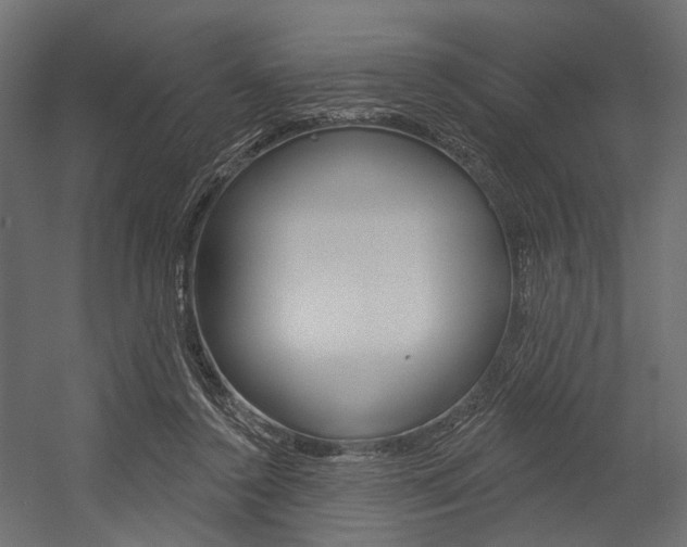 X0000054460356200507291027