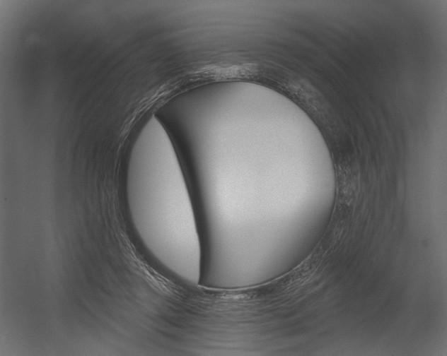 X0000054460357200507291027