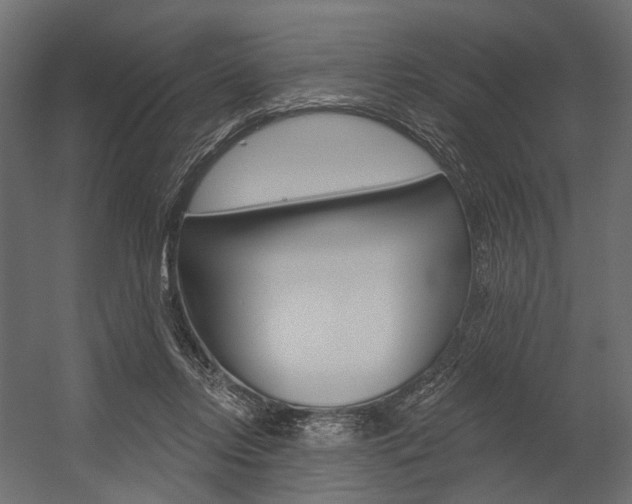 X0000054460358200507291027