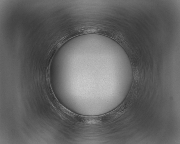 X0000054460360200507291027
