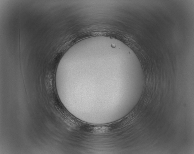 X0000054460363200507291027
