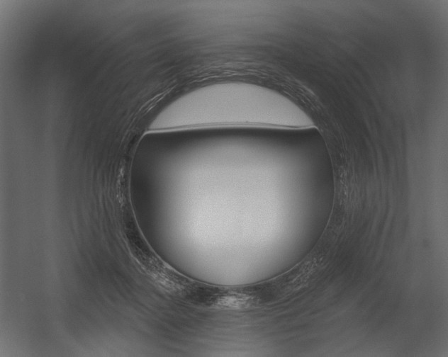 X0000054460364200507291027
