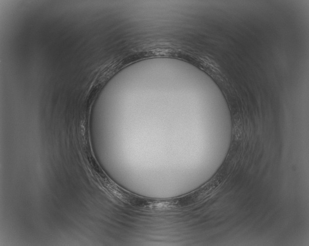 X0000054460365200507291027