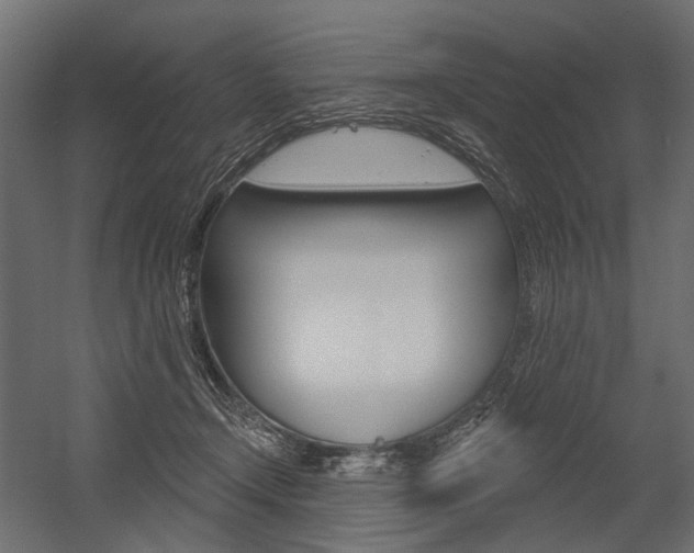 X0000054460366200507291027