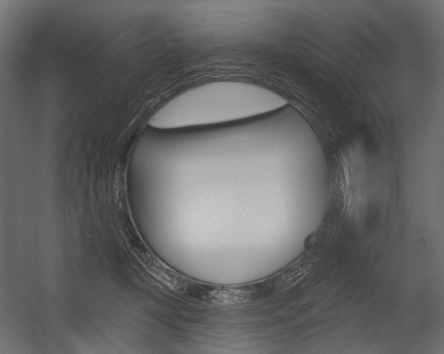 X0000054460367200507291027
