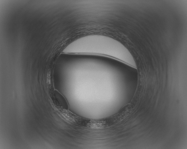 X0000054460368200507291027