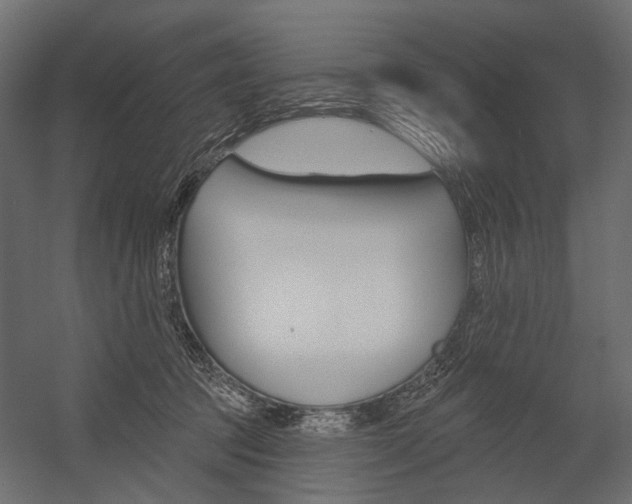 X0000054460369200507291027