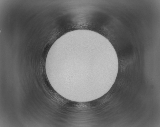 X0000054460370200507291027