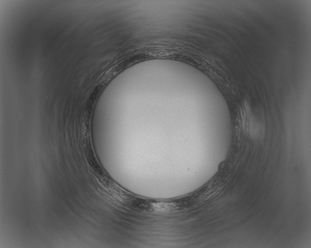 X0000054460371200507291027