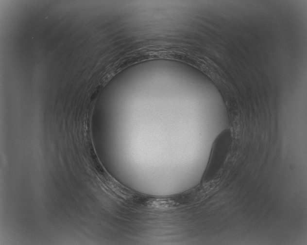 X0000054460372200507291027