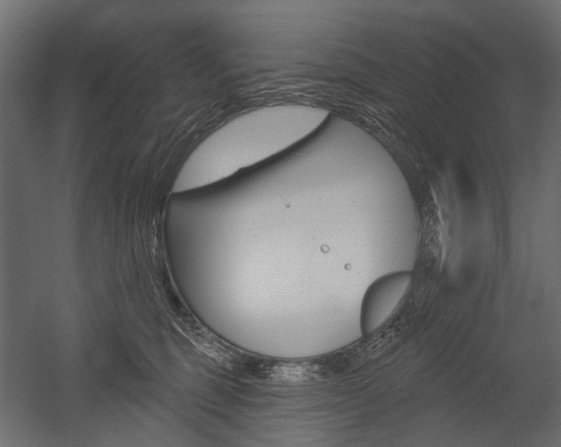 X0000054460375200507291027