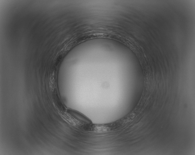 X0000054460376200507291027