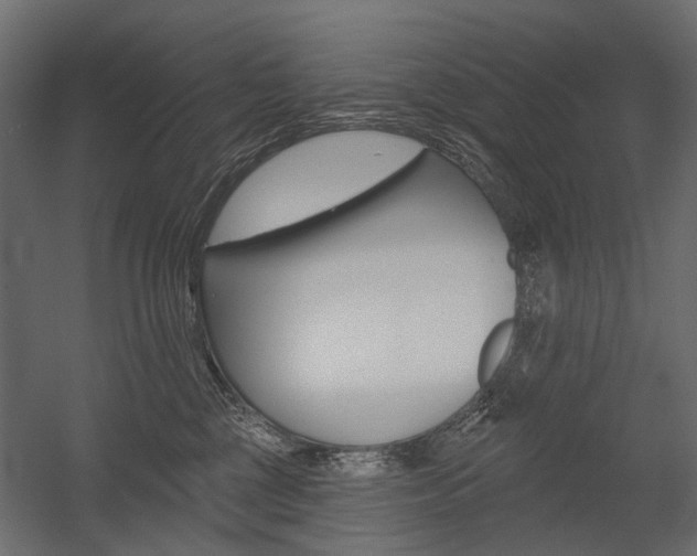 X0000054460377200507291027