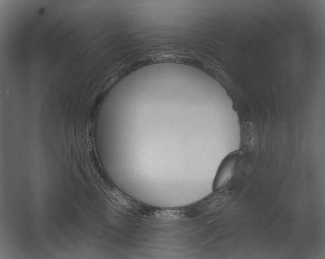 X0000054460378200507291027