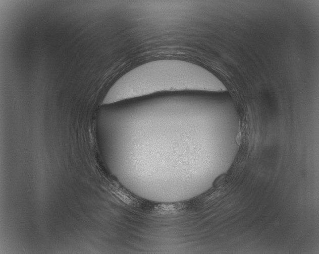 X0000054460381200507291028