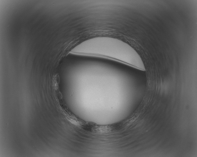 X0000054460383200507291028