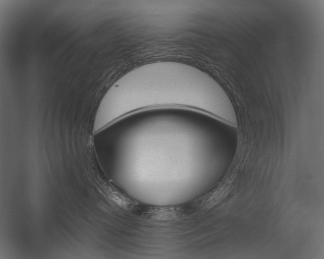 X0000054460384200507291028