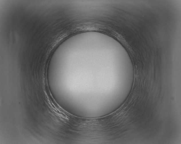 X0000054460386200507291027